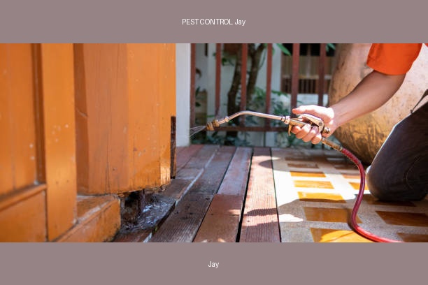 PEST CONTROL Jay